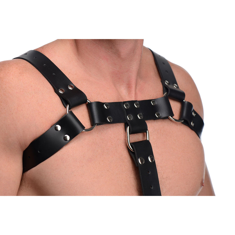 English Bull Dog Harness with Cock Strap LeatherR from Strict Leather