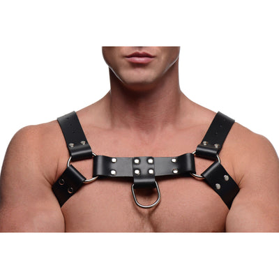 English Bull Dog Harness with Cock Strap LeatherR from Strict Leather