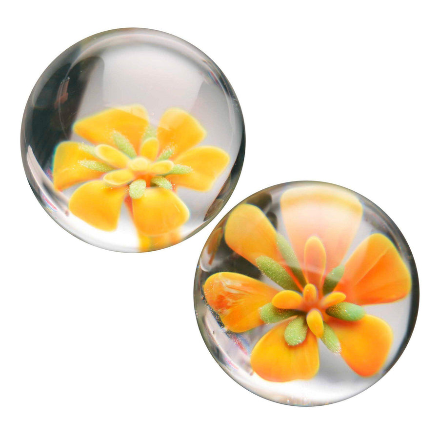 Asvani Glass Ben Wa Balls - The Dildo Hub