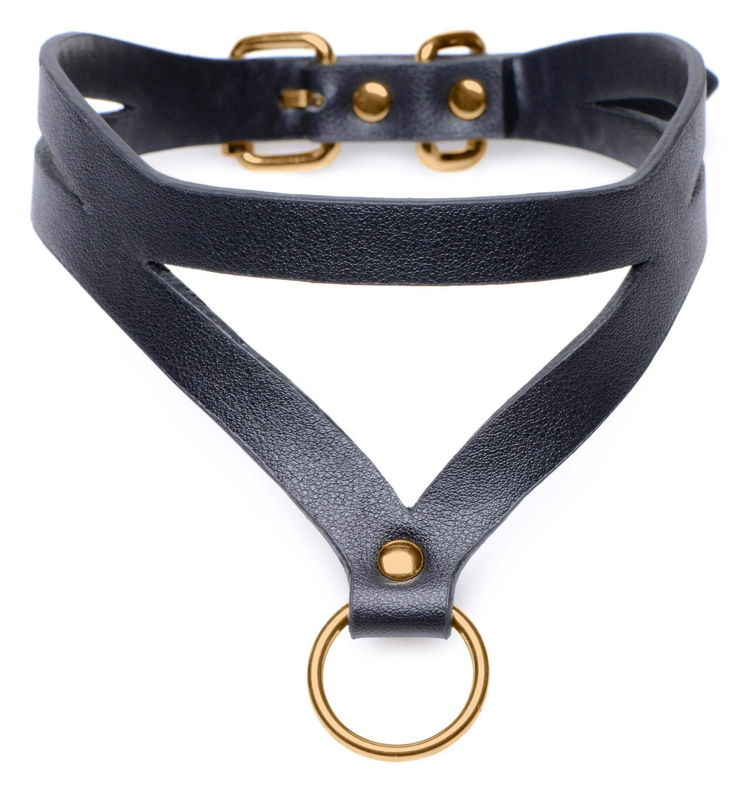Black and Gold Collar with Leash Kit - The Dildo Hub