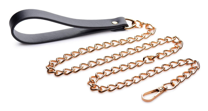 Black and Gold Collar with Leash Kit - The Dildo Hub