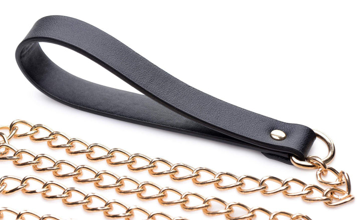 Black and Gold Collar with Leash Kit - The Dildo Hub