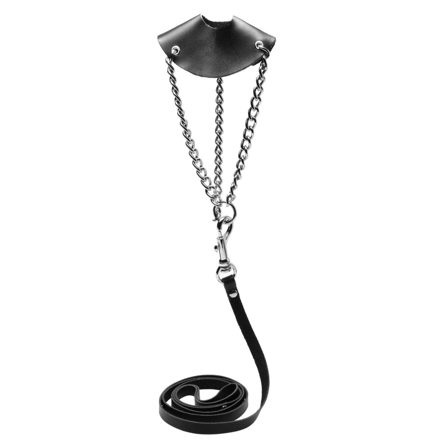 By the Balls Scrotum Stretching Kit with Leash - The Dildo Hub