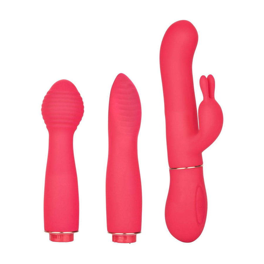 Calexotics In Touch Dynamic Trio - The Dildo Hub