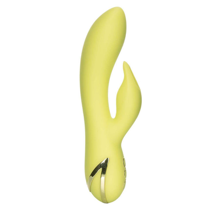 California Dreaming Venice Vixen - The Dildo Hub