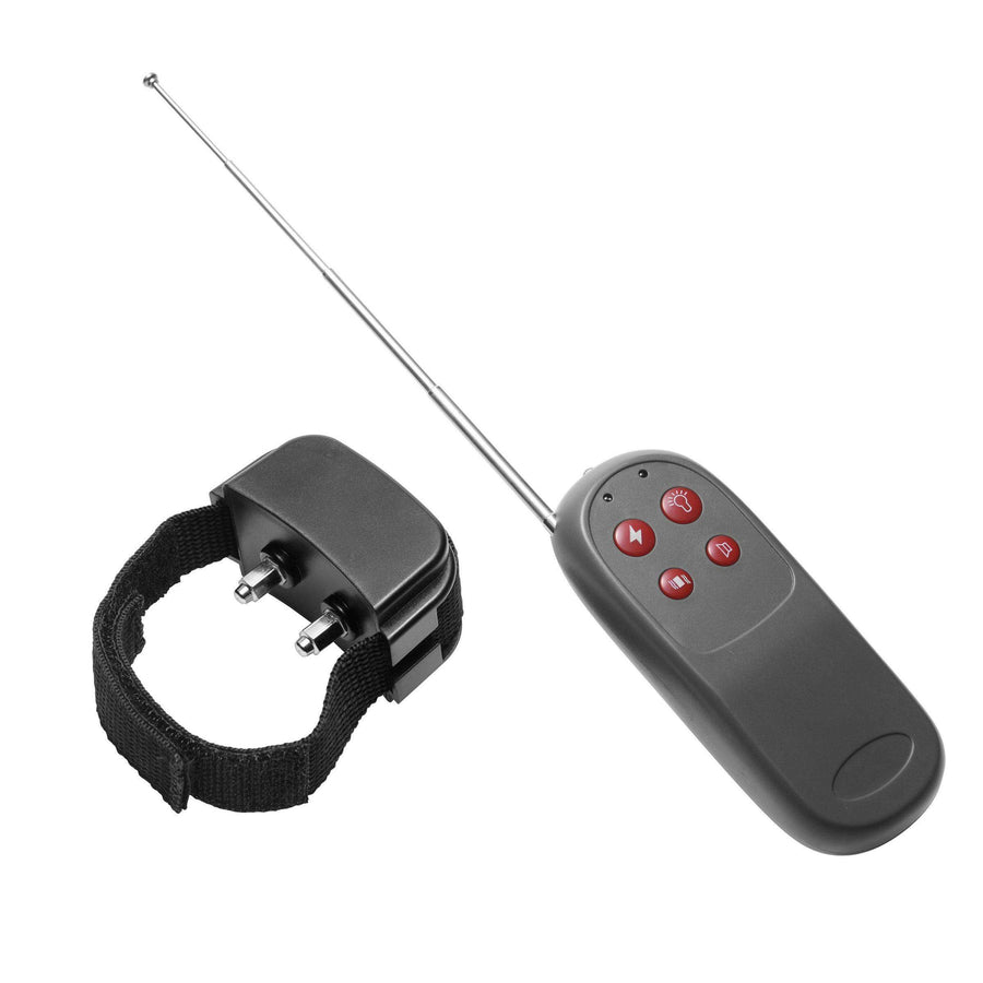Cock Shock Remote CBT Electric Cock Ring - The Dildo Hub