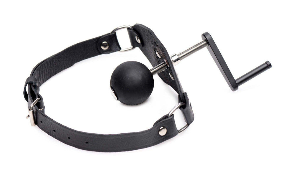 Crank Ball Gag - The Dildo Hub