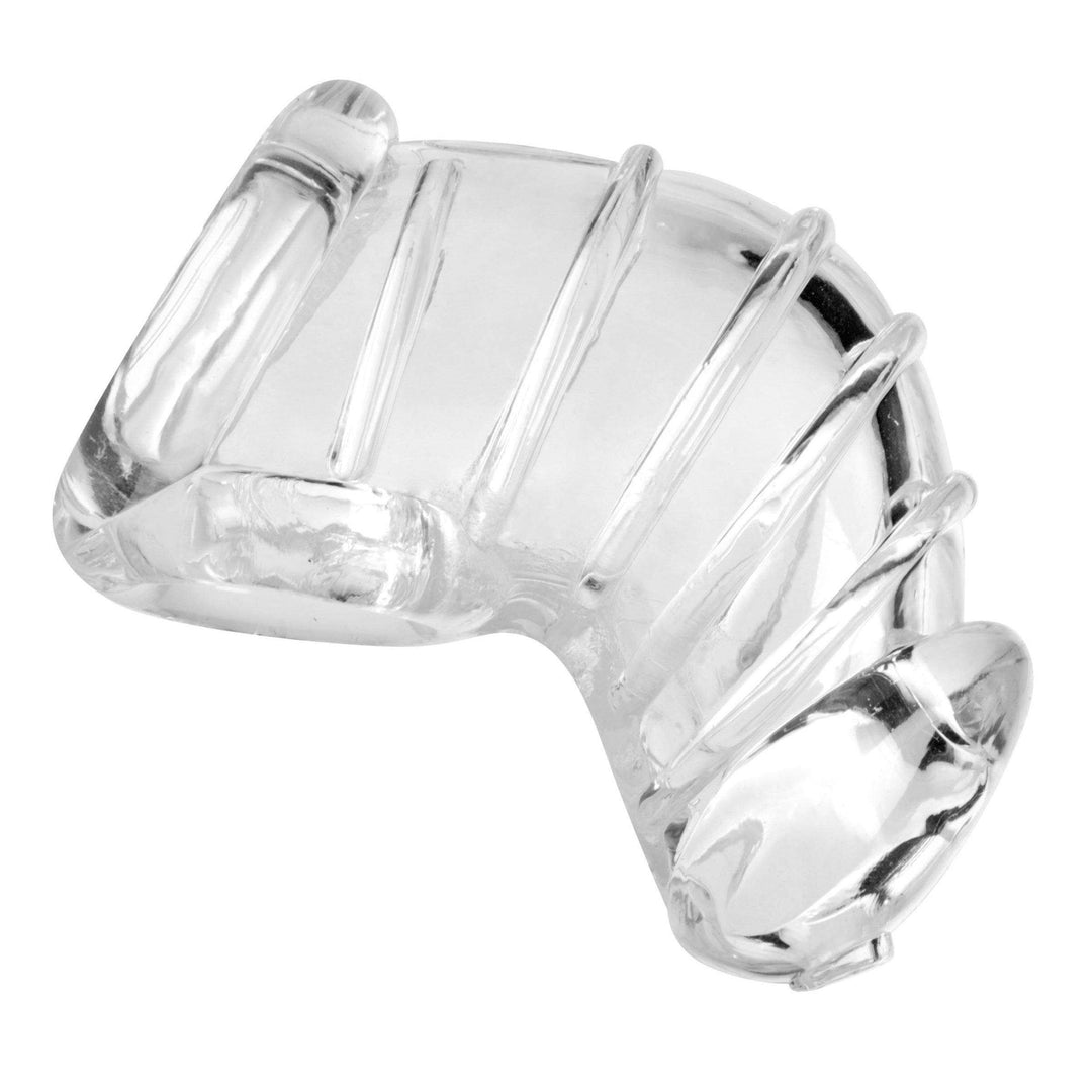 Detained Soft Body Chastity Cage - The Dildo Hub