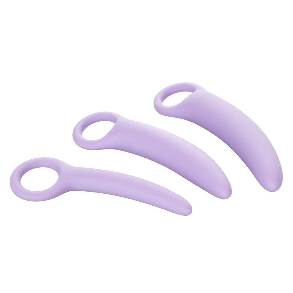 Dr. Laura Berman Alena Set of 3 Silicone Dilators | CalExotics - The Dildo Hub