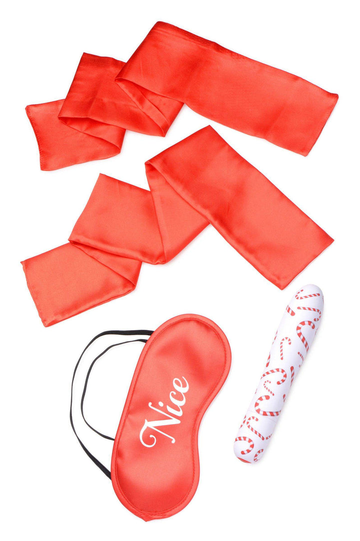 Naughty Holiday Kit - The Dildo Hub