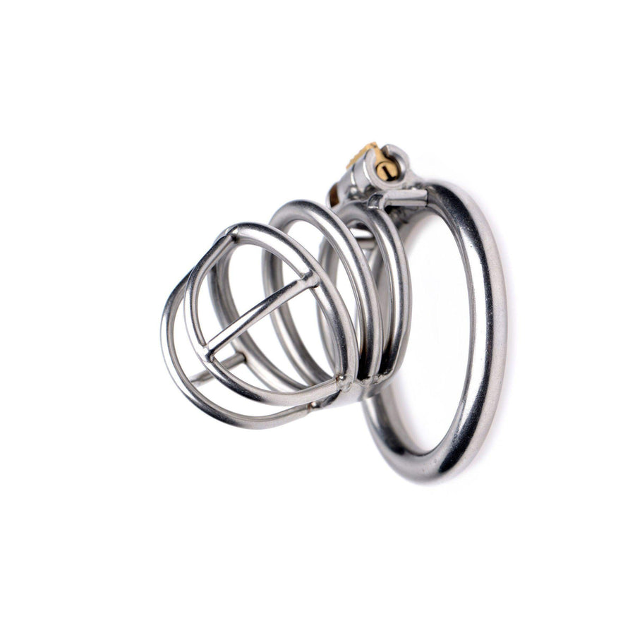 The Pen Deluxe Stainless Steel Locking Chastity Cage - The Dildo Hub