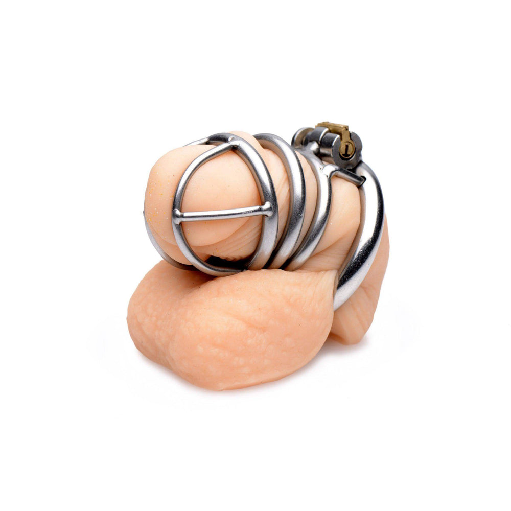 The Pen Deluxe Stainless Steel Locking Chastity Cage - The Dildo Hub