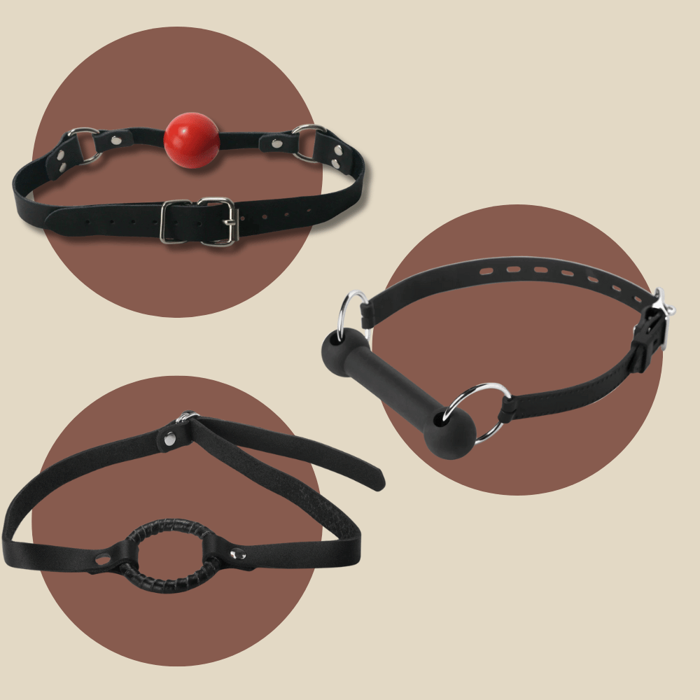 comparisson between ball gag bit gag o ring gag vs panel gag