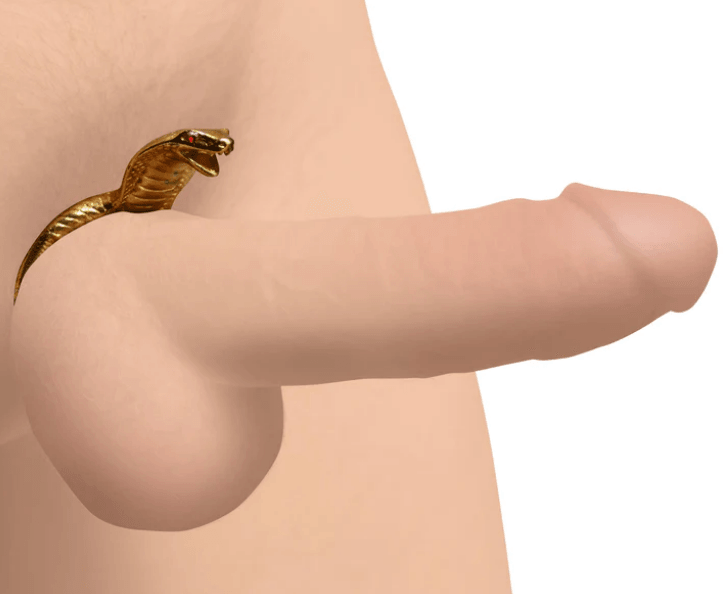 How to Choose a Cock Ring? - The Dildo Hub