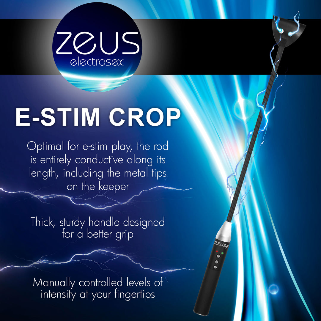 Zeus E-Stim Crop with 2 Electrostimulation Levels
