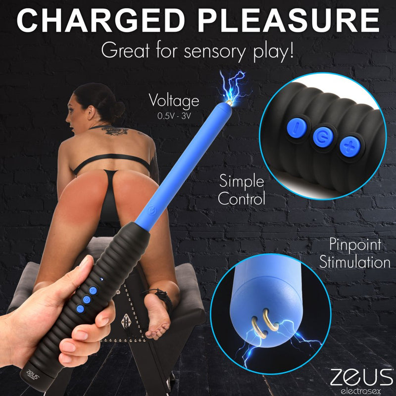 ⚡️ Shock Rod Zapping Wand - Electrosex Toy 