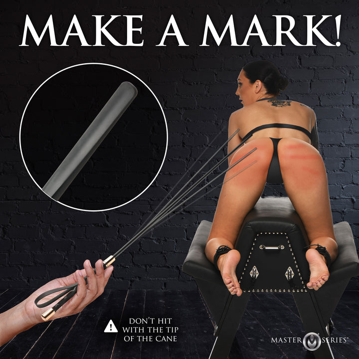 Sinful Impact Cane with Vegan Leather Handle