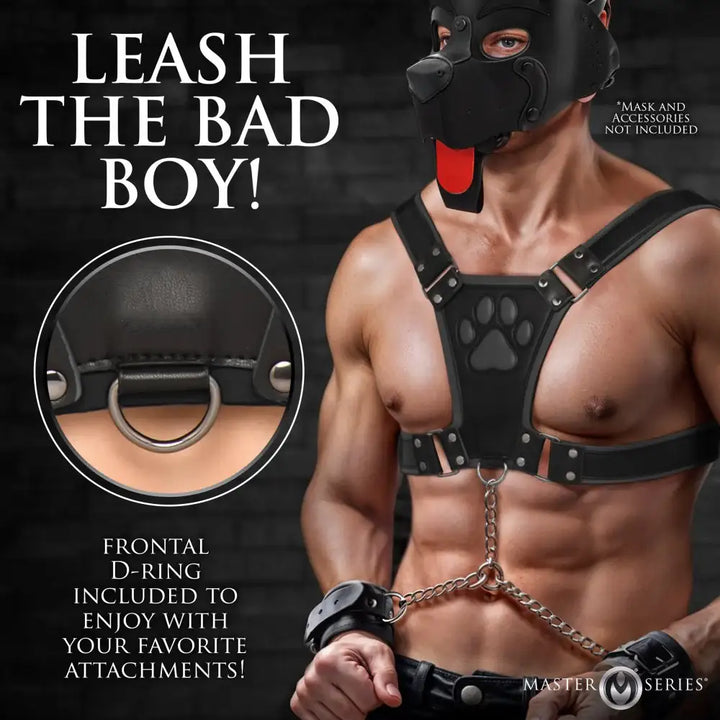 Alpha Pup Bulldog Kinky Leather Harness | 3 COLORS