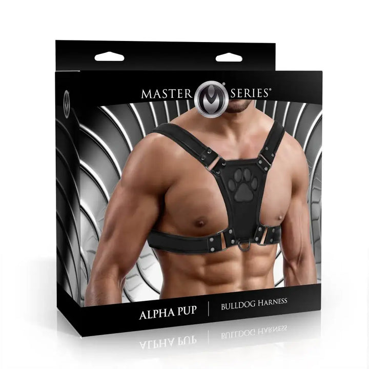 Alpha Pup Bulldog Kinky Leather Harness | 3 COLORS