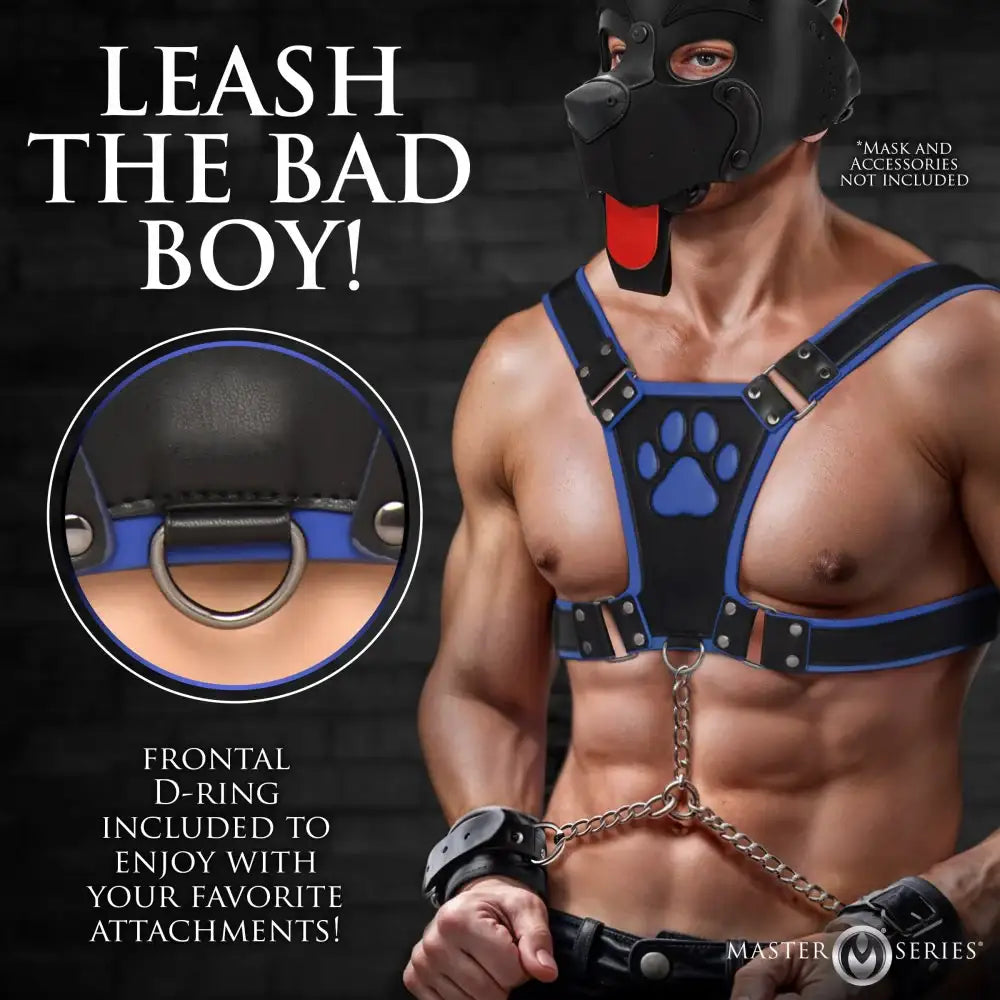 Alpha Pup Bulldog Kinky Leather Harness | 3 COLORS
