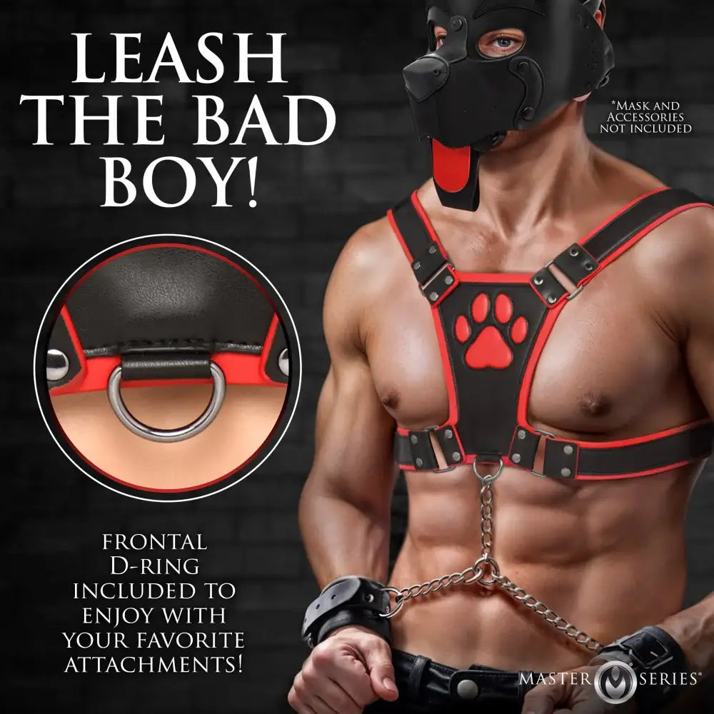 Alpha Pup Bulldog Kinky Leather Harness | 3 COLORS