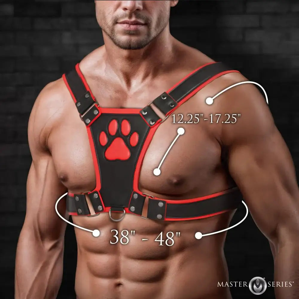 Alpha Pup Bulldog Kinky Leather Harness | 3 COLORS