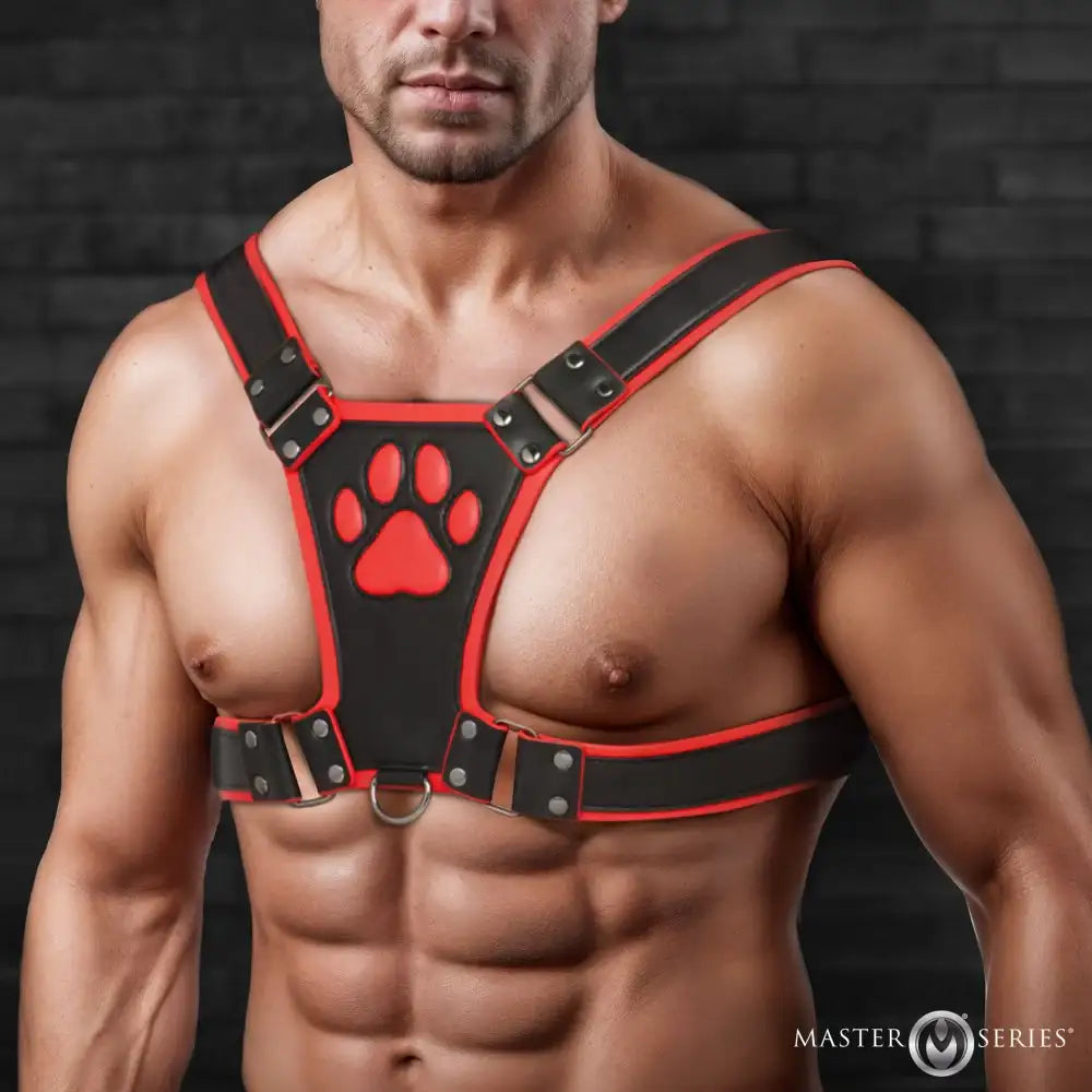 Alpha Pup Bulldog Kinky Leather Harness | 3 COLORS