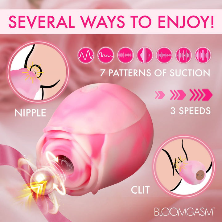 Pink Swirl Rose Lovers Gift Box