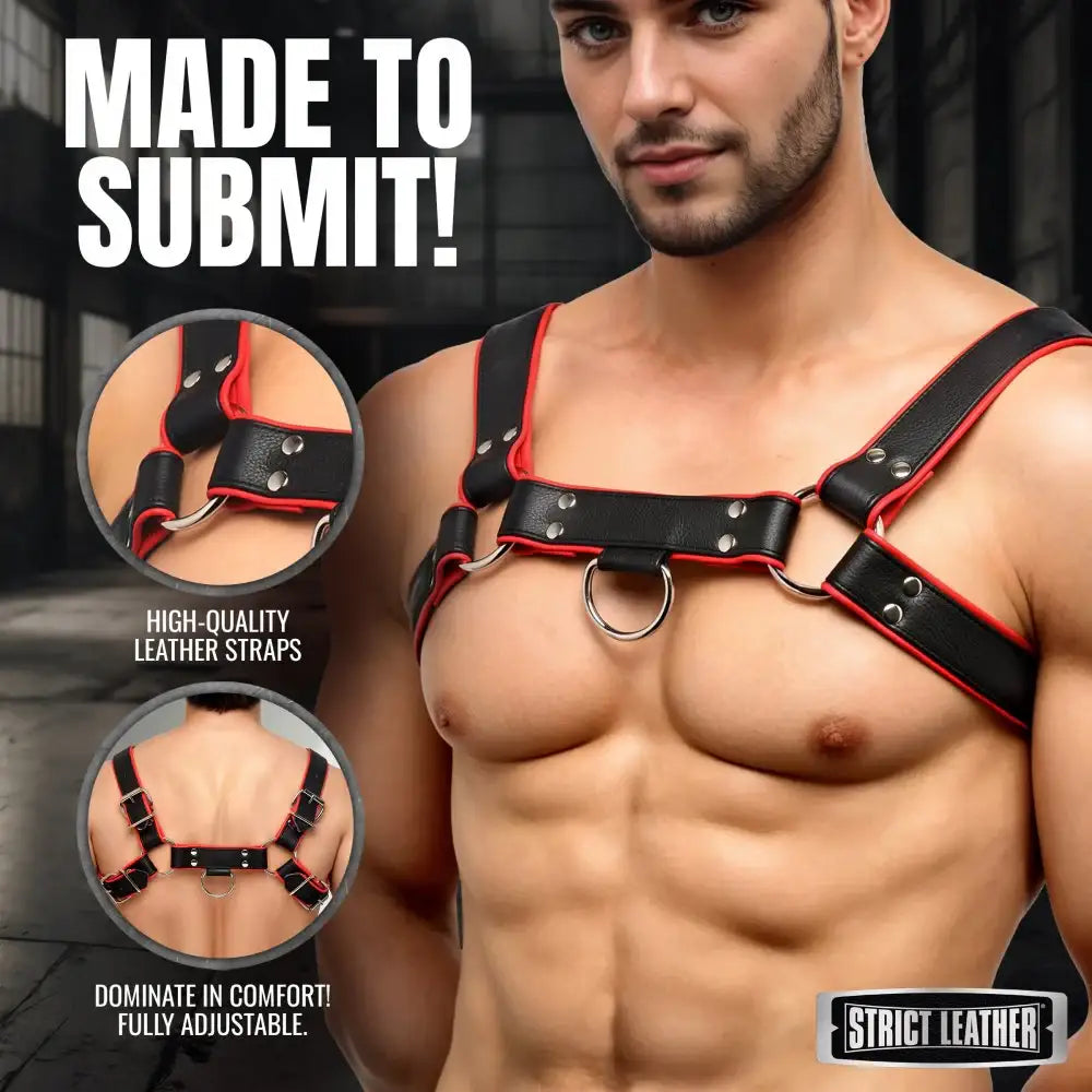 English Bull Dog Kinky Leather Harness