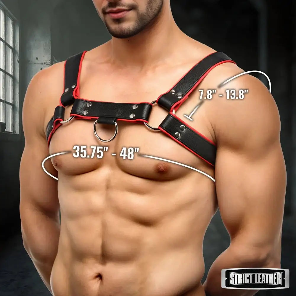 English Bull Dog Kinky Leather Harness