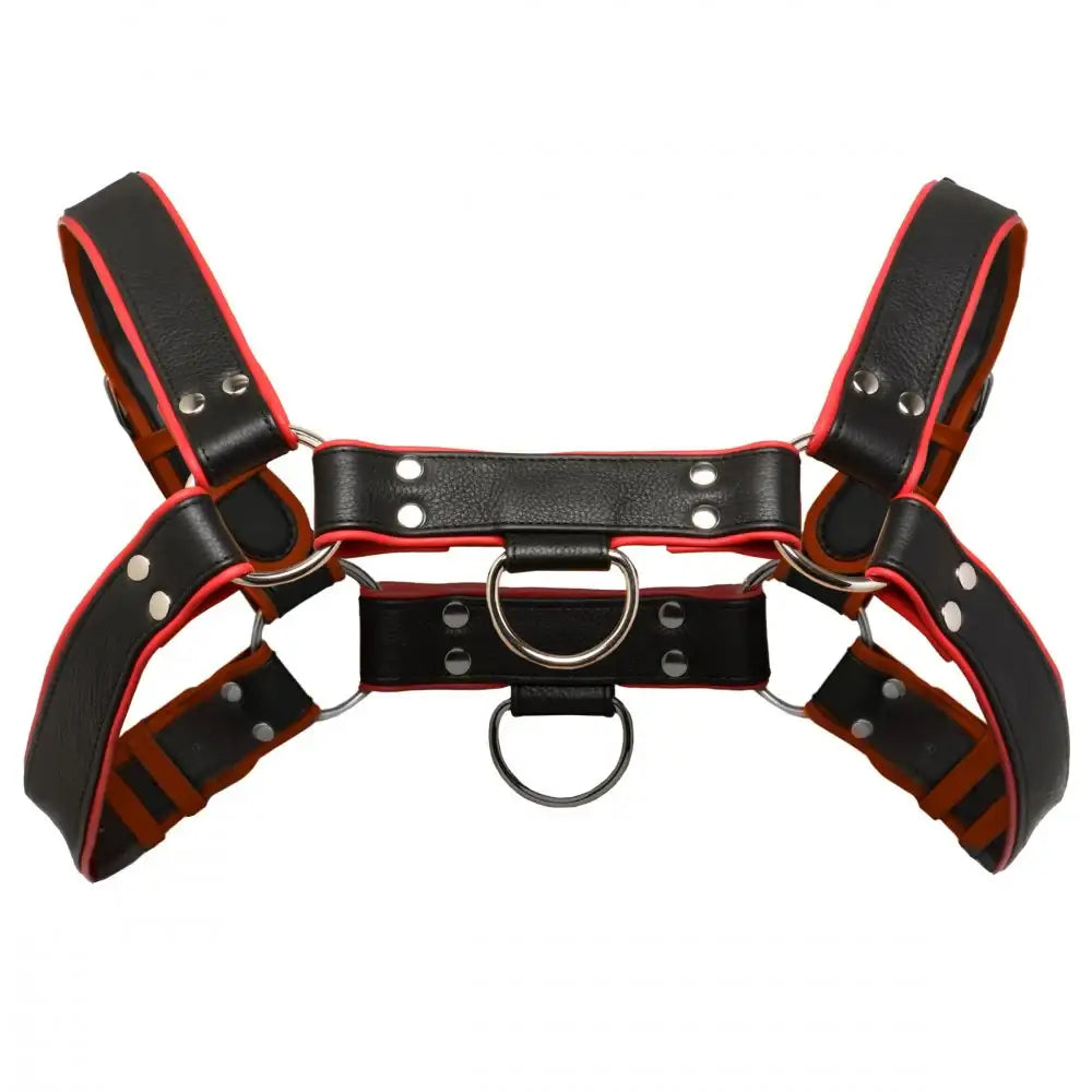 English Bull Dog Kinky Leather Harness
