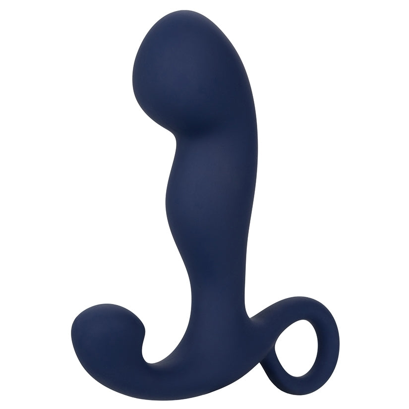 Cal Exotics Viceroy Rechargeable Command Probe