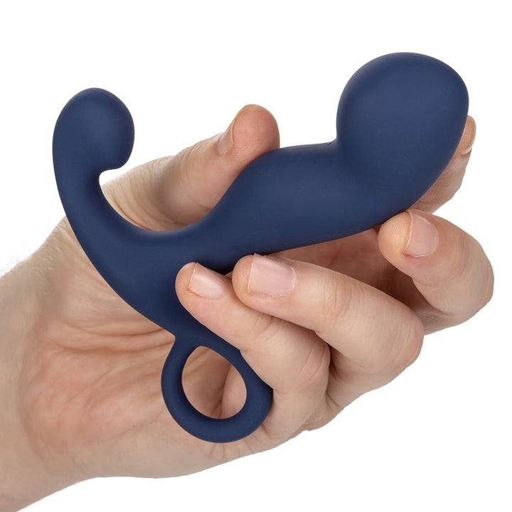 Cal Exotics Viceroy Rechargeable Command Probe