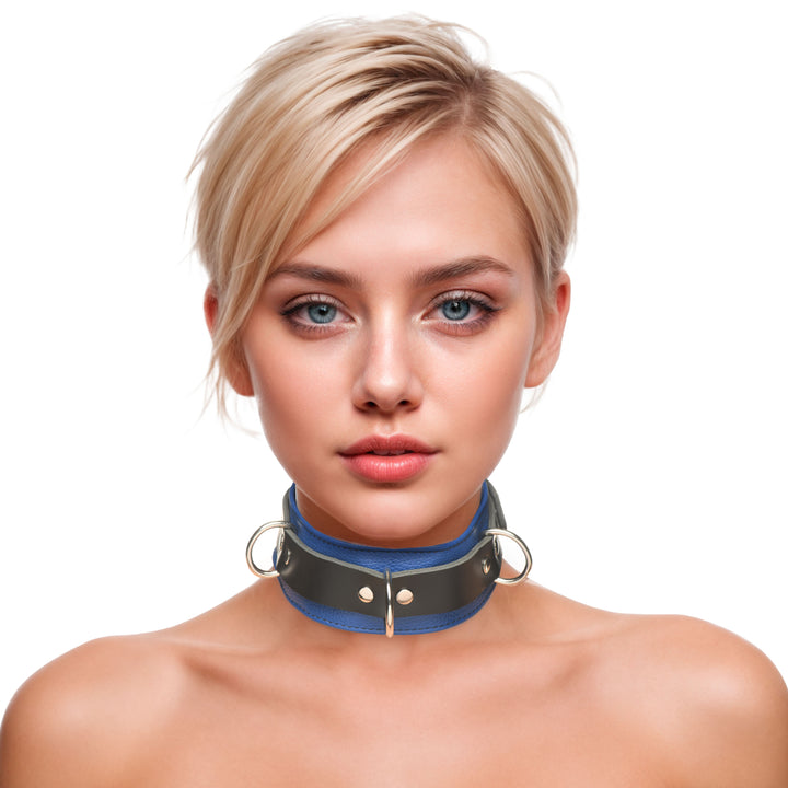 Strict Leather Deluxe Locking Collar - Blue and Black