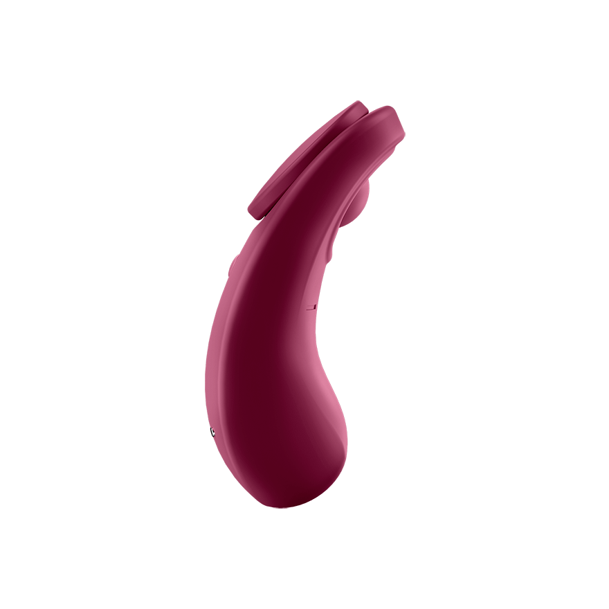 Satisfyer Sexy Secret Connect App Panty Vibrator
