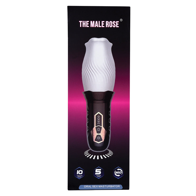 The Male Rose The Original Male Rose