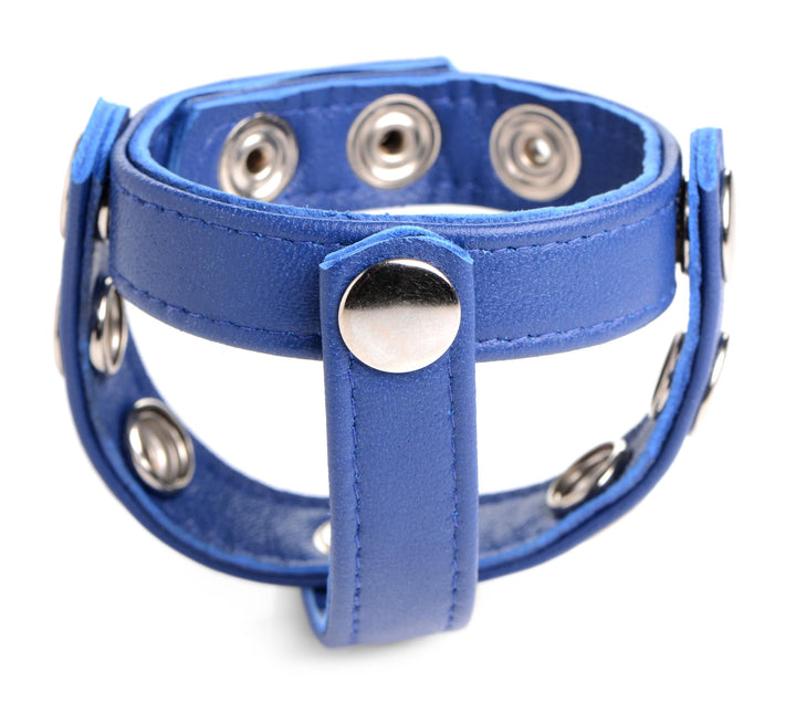 Leather Snap-on Cock Harness -