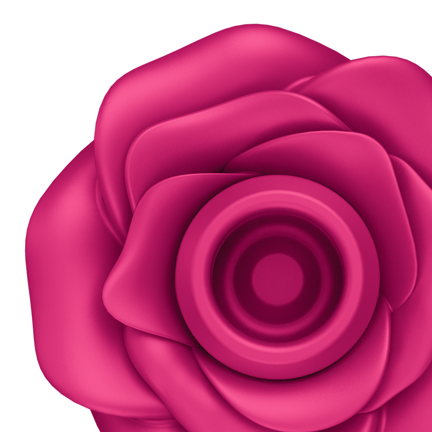 Satisfyer Pro 2 Classic Blossom Rose Air Pulse Vibrator