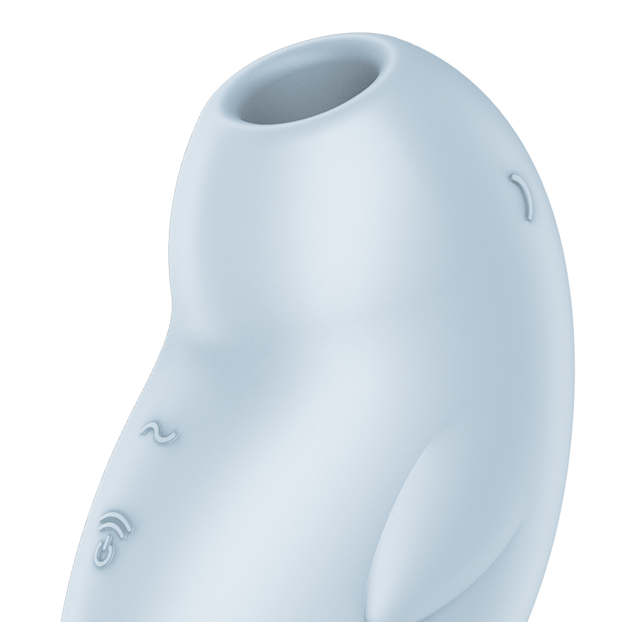 Satisfyer Seal You Soon Air Pulse Clitoral Vibrator