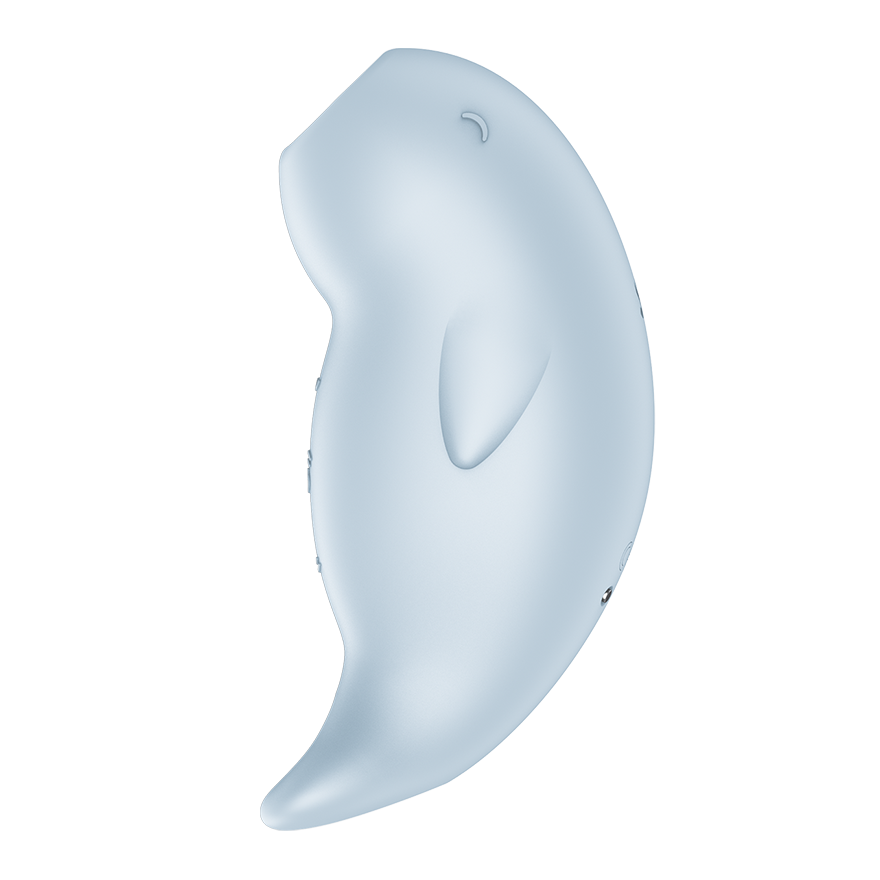 Satisfyer Seal You Soon Air Pulse Clitoral Vibrator