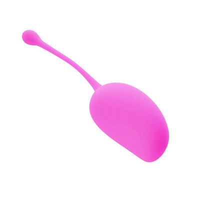 Sincerely Kegel Exercise System Set of 3  from thedildohub.com