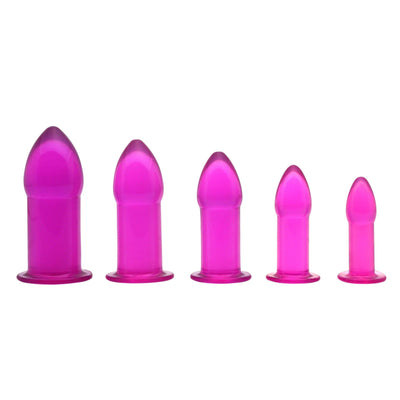 5 Piece Anal Trainer Set - Purple - The Dildo Hub