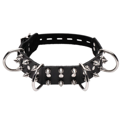 Strict Leather Spiked Dog Collar new-products from Strict Leather