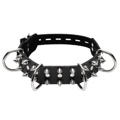 Bad Dog Leash and Spiked Collar Kit bondage-kits from Strict Leather