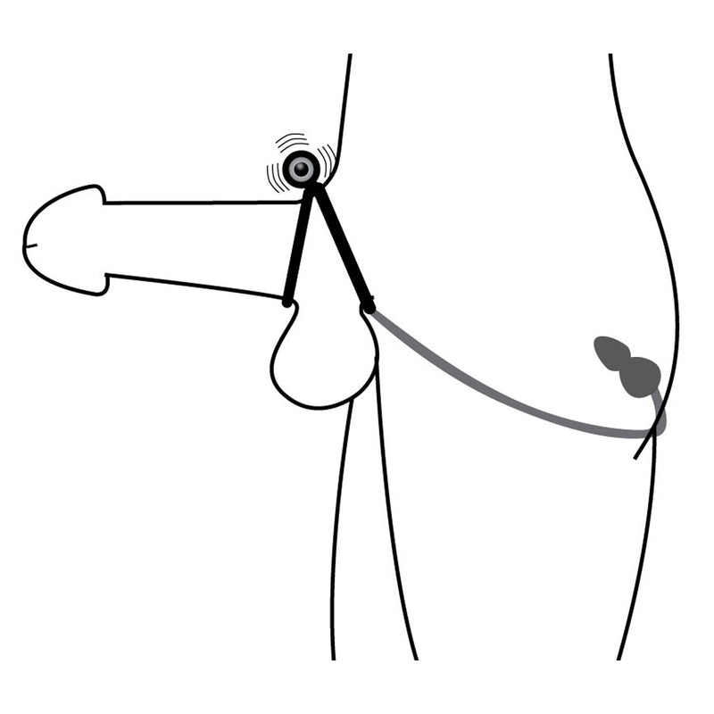 Voyager 1 Vibrating Cock Ring and Anal Plug prostate-stimulator from Prostatic Play