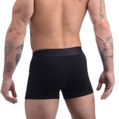 Boxer Style Packing Harness Briefs- MediumLarge FetishClothing from SC Novelties