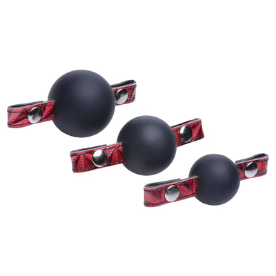 Interchangeable Silicone Ball Gag GAGS from Master Series