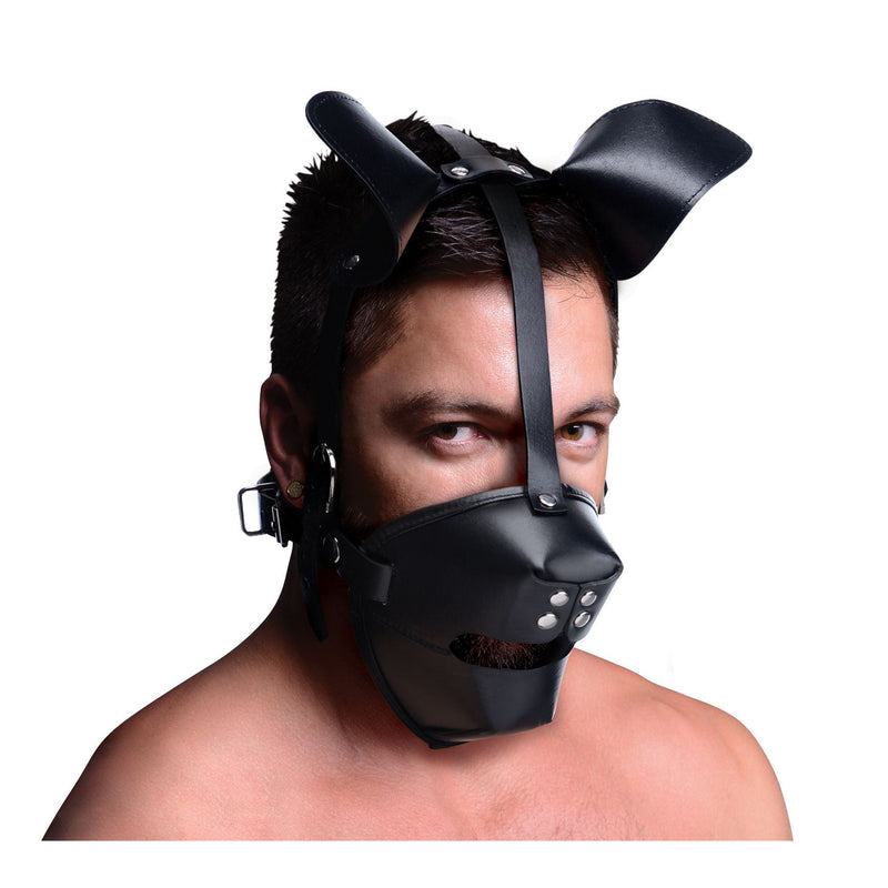 Pup Puppy Play Hood and Breathable Ball Gag hoods-muzzles from Master Series