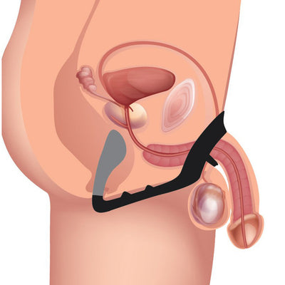 Excursion Silicone Triple Stim Anal Plug with Cock and Ball Ring cock-insertable from Prostatic Play