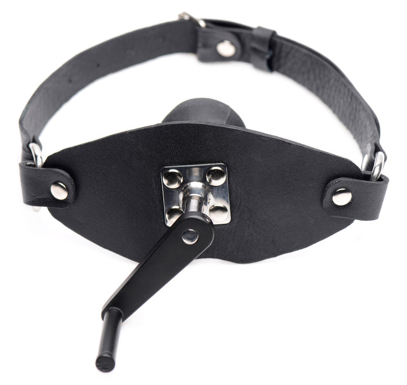 Crank Ball Gag GAGS from Master Series